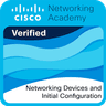 Cisco Networking Academy Logo